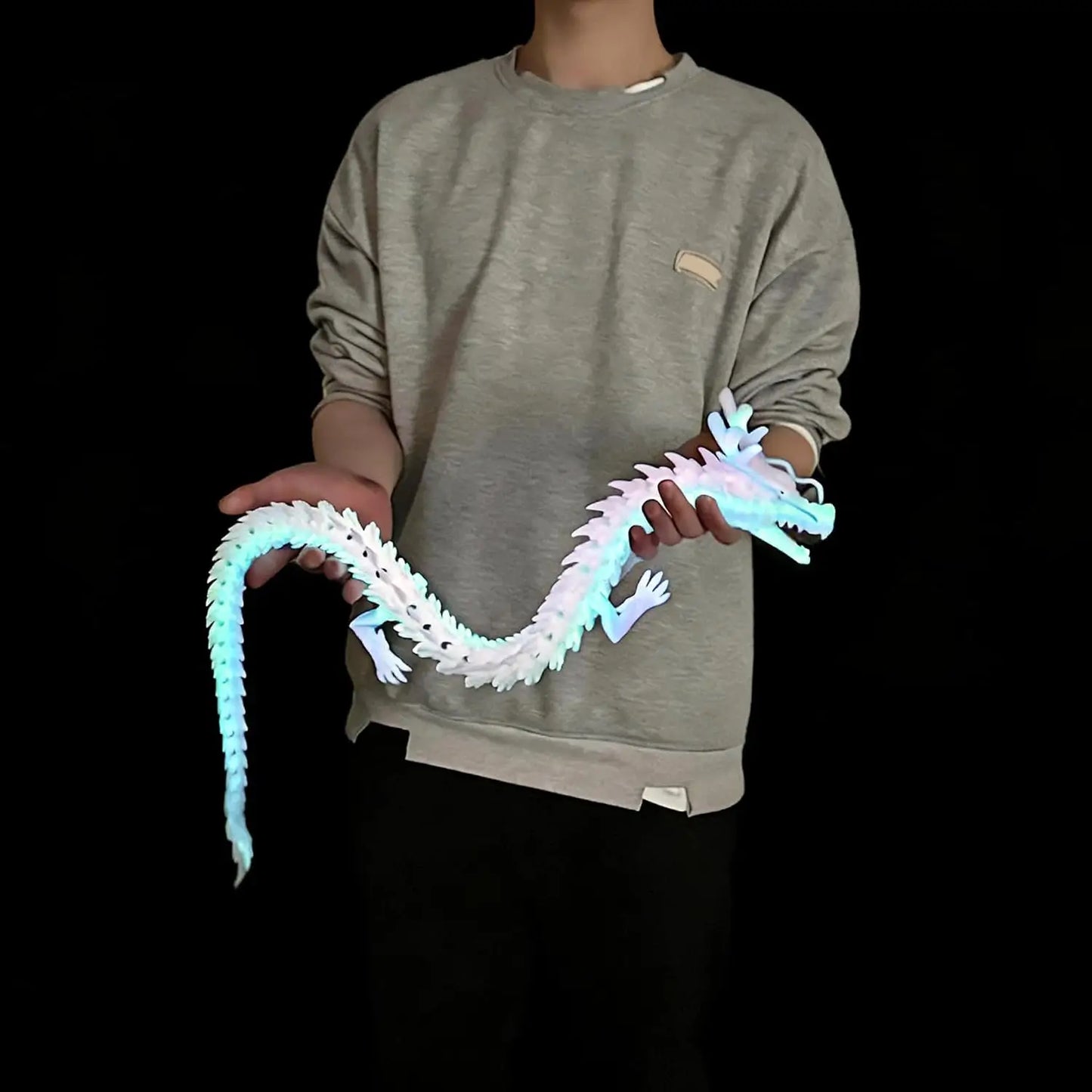 Giant 3D Poseable Dragon