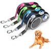 Retractable Dog Leash