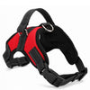 Heavy Duty Pet Harness