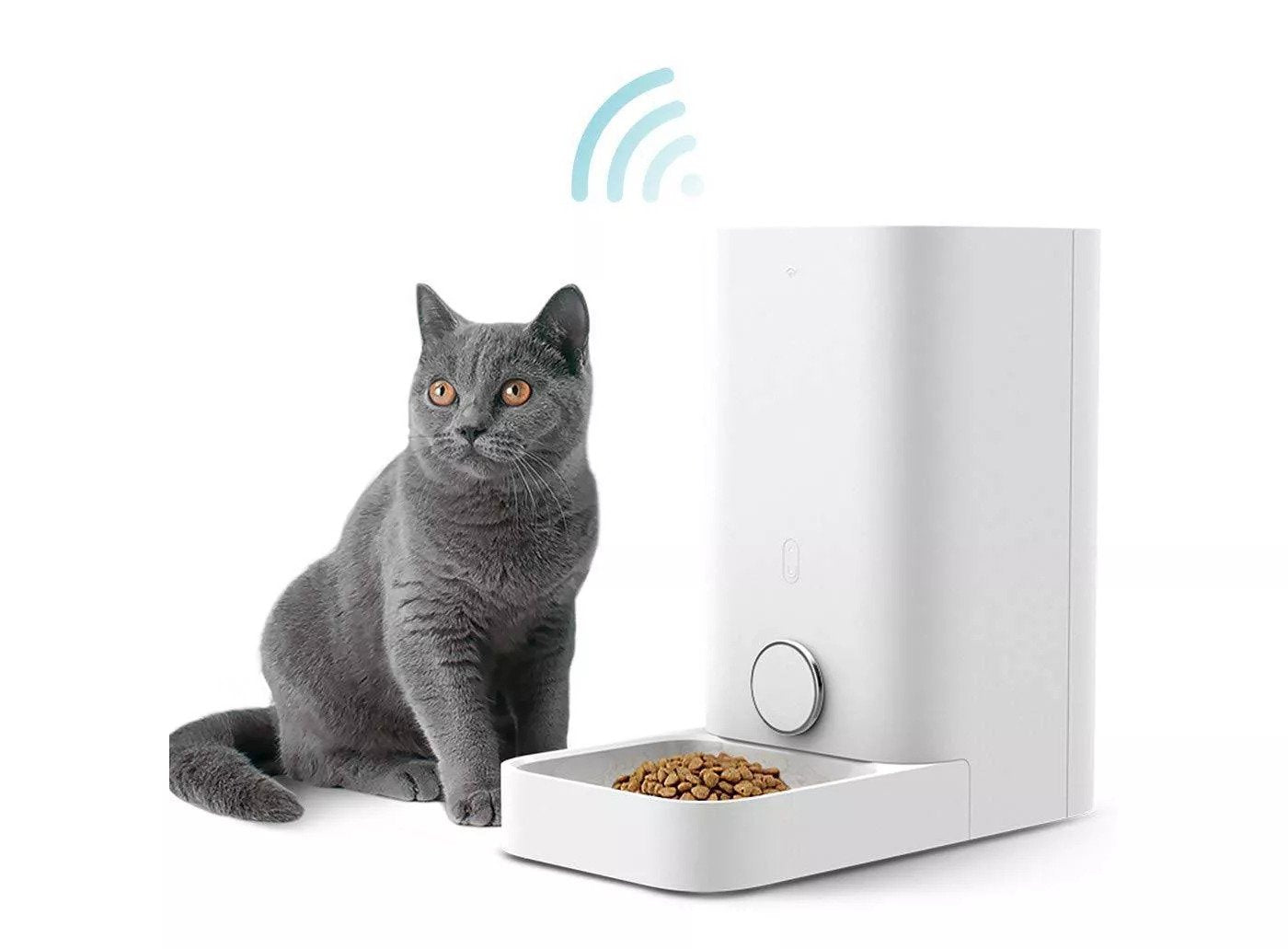 Mini Smart Pet Feeder