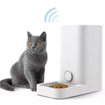 Mini Smart Pet Feeder