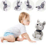 Electronic Pets Toy for kids